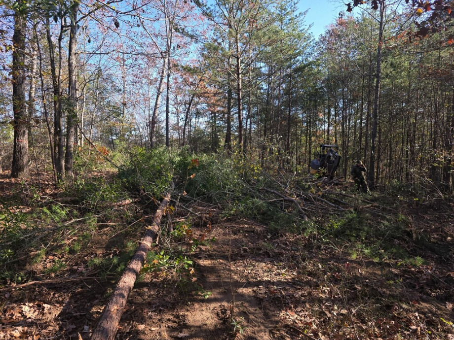 Land Clearing Services